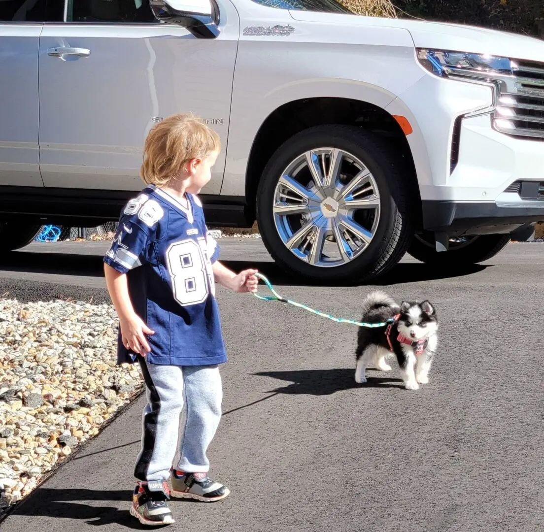 A cute boy walking with a puppy