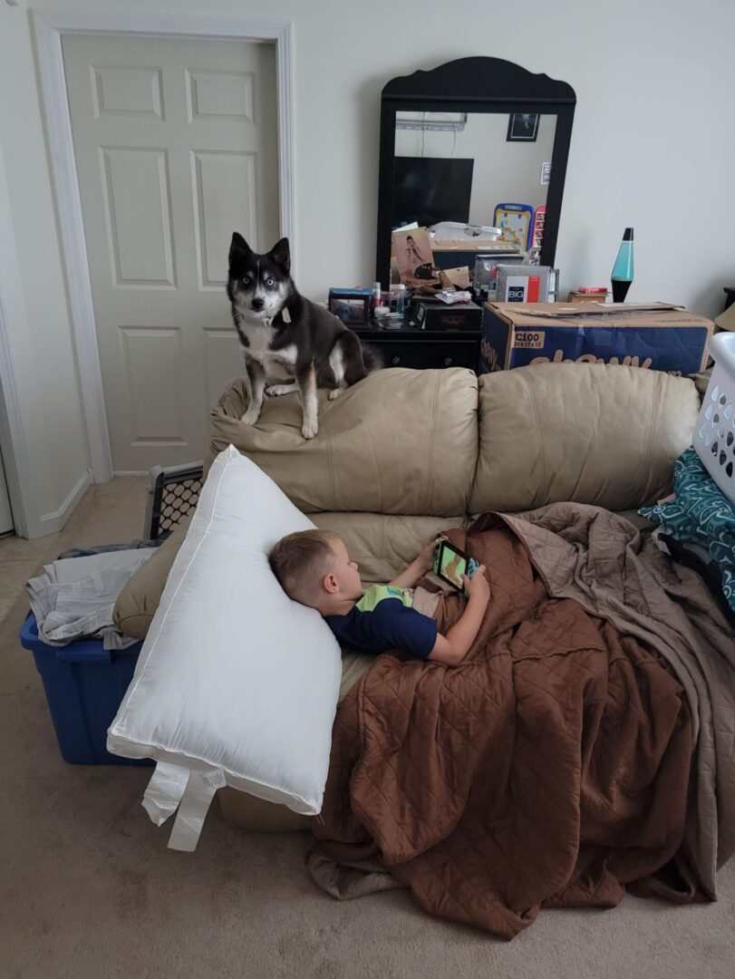 A dog and boy in a room