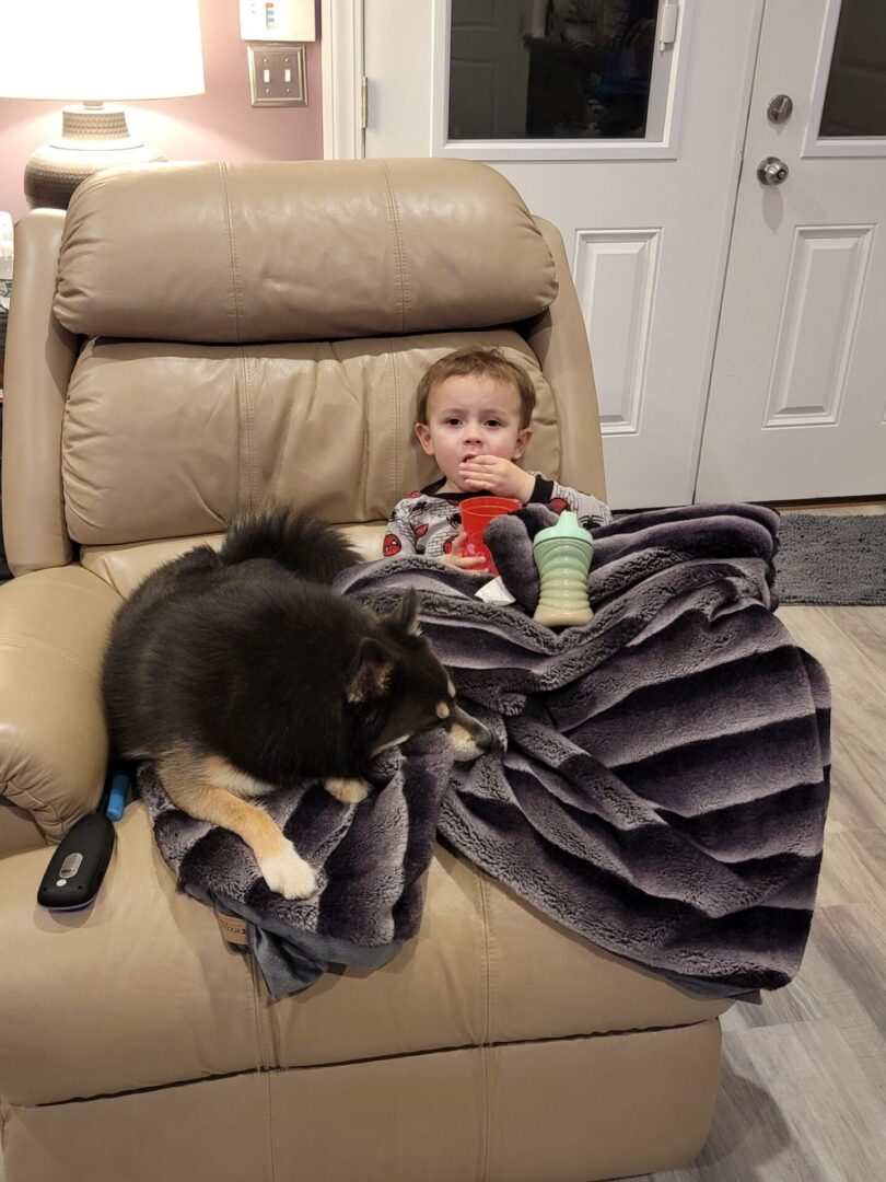 A dog and a boy in a chair