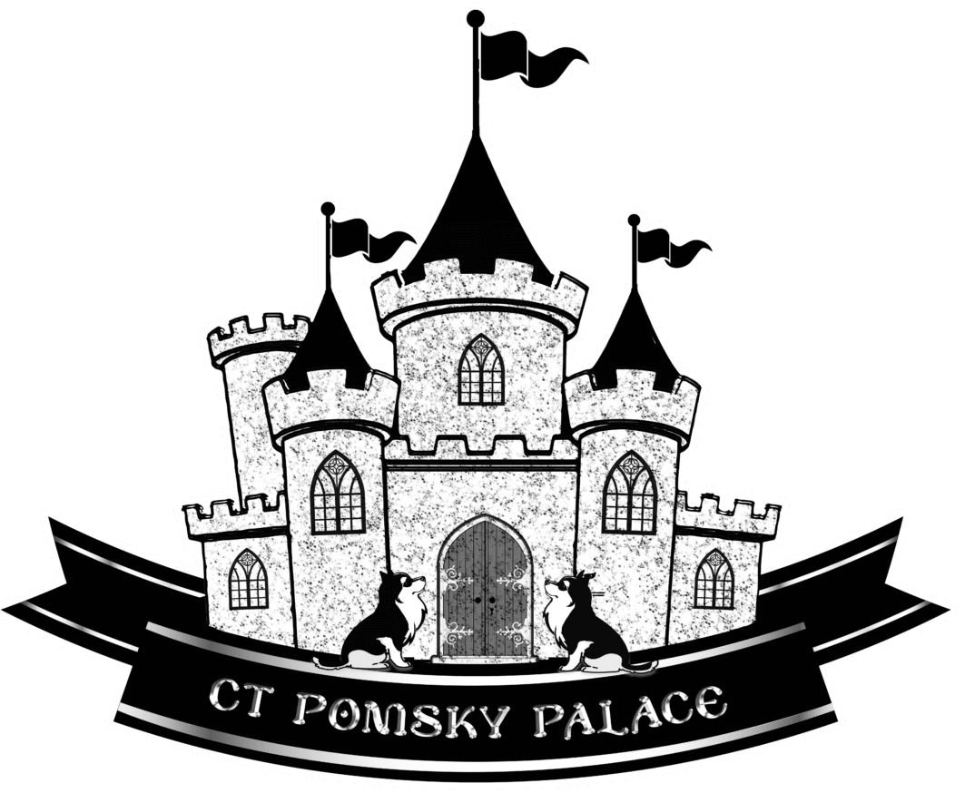 A black and white picture of the ct ponisky palace.
